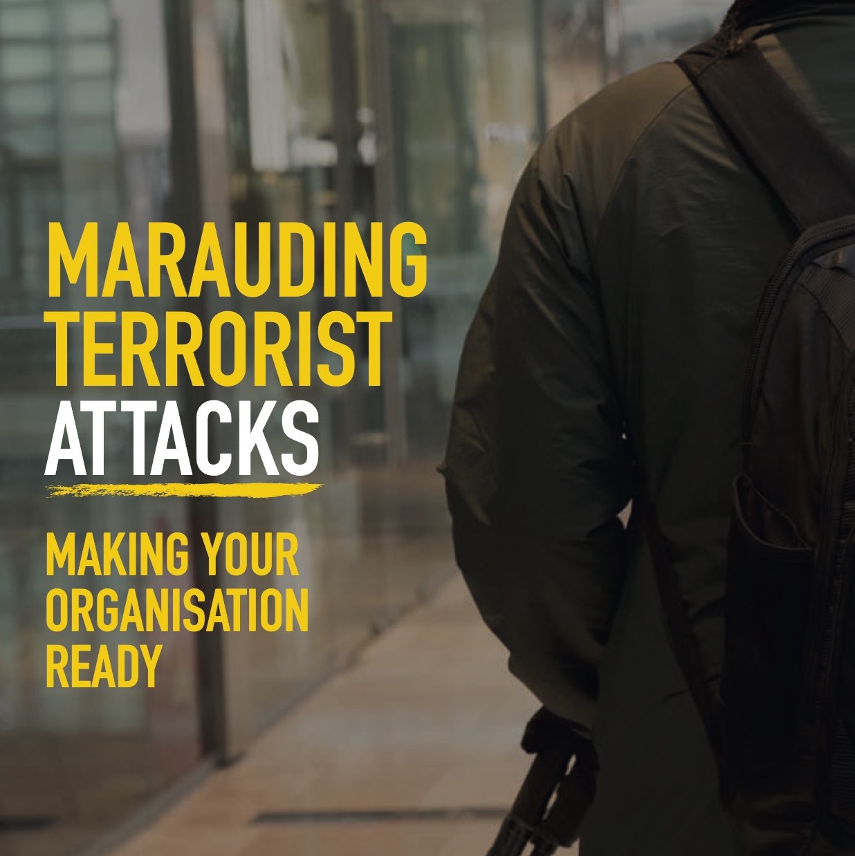 Marauding Terrorist Attacks image